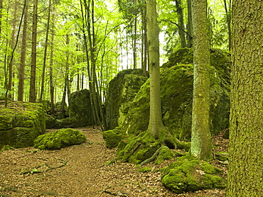 Druidenhain, Little Switzerland, Upper Franconia, Bavaria, Germany