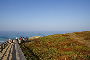 Boardwalk, oceanway, steep coast, Playa de Catedrales, Praia das Catedrais, Beach of the Cathedrals, rock formations, beach, coast Atlantic Ocean, near Ribadeo, Camino de la Costa, Camino del Norte, coastal route, Way of Saint James, Camino de Santiago, pilgrims way, province of Lugo, Galicia, Northern Spain, Spain, Europe