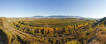 railway line along Ebro river, Rio Ebro, vinyards, near Haro, autumn, La Rioja, Northern Spain, Spain, Europe