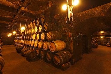 cellar, Bodega R Lopez de Heredia, Vina Tondonia, winery, Camino Vasco del interior, Way of Saint James, Camino de Santiago, pilgrims way, La Rioja, Northern Spain, Spain, Europe