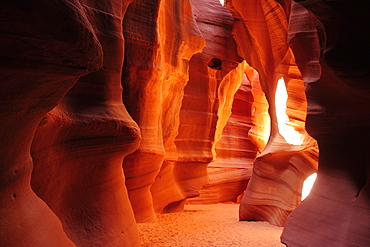 Sun illuminating colourful sandstone slot canyon, Upper Antelope Canyon, Antelope Canyon, Page, Arizona, Southwest, USA, America