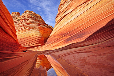 Red sandstone reflecting in water, The Wave, Coyote Buttes, Paria Canyon, Vermilion Cliffs National Monument, Arizona, Southwest, USA, America