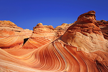 Red sandstone formation under blue sky, The Wave, Coyote Buttes, Paria Canyon, Vermilion Cliffs National Monument, Arizona, Southwest, USA, America