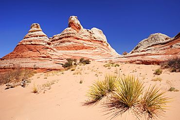 Colourful sandstone cones, Paria Canyon, Vermilion Cliffs National Monument, Arizona, Southwest, USA, America