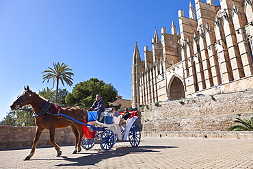 Horse drawn carriage, horse cart, tourists, cathedral Sa Seu, Palma de Mallorca, Mallorca, Spain