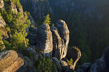 Rocks at the Wehlgrund valley, Bastei Rocks, National Park Saxon Switzerland, Elbe Sandstone Mountains, Saxony, Germany, Europe