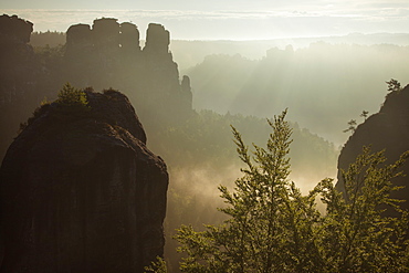 View from Felsenburg Neurathen over the Wehlgrund valley onto the Goose Rocks, Bastei Rocks, National Park Saxon Switzerland, Elbe Sandstone Mountains, Saxony, Germany, Europe