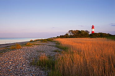 Falshoeft lighthouse in the evening light, Pommerby, Baltic Sea, Schleswig-Holstein, Germany, Europe