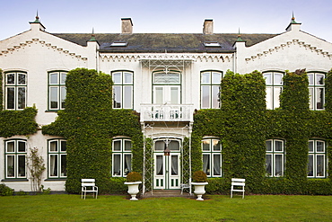 Facade with ivy, Gluecksburg, Flensburg fjord, Baltic Sea, Schleswig-Holstein, Germany, Europe