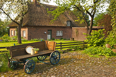 Wooden carriage with jar and plate in front of a house with thatched roof, Sieseby, Baltic Sea, Schleswig-Holstein, Germany, Europe