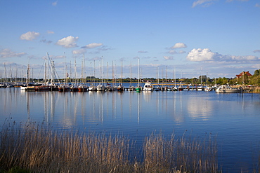 View of marina, Arnis, Schlei fjord, Baltic Sea, Schleswig-Holstein, Germany, Europe