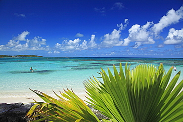 View of Pineapple Beach in the sunlight, Antigua, West Indies, Caribbean, Central America, America