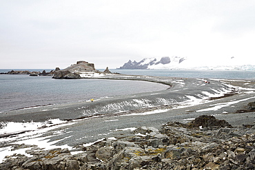 Half Moon Island, South Shetland Islands, Antarctica