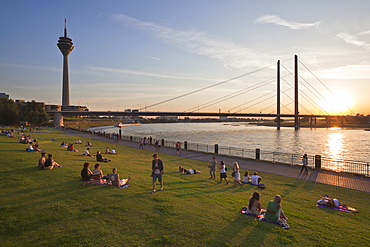 People sitting in the meadow at the Rhine river promenade at sunset, Duesseldorf, North Rhine-Westphalia, Germany, Europe