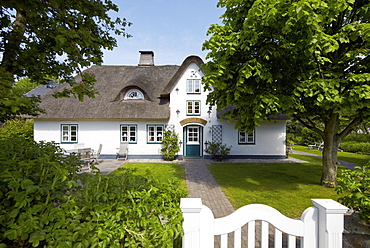 View of thatched house with garden, Island of Amrum, Northern Frisia, Schleswig Holstein, Germany, Europe