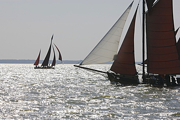 Back lit sailing boats at Saaler Bodden, Fischland Darss Zingst, Mecklenburg Western Pomerania, Germany, Europe