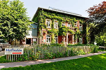 Sheep cheese dairy Volquardsen, Tetenbuell, Northern Frisia, Schleswig Holstein, Germany