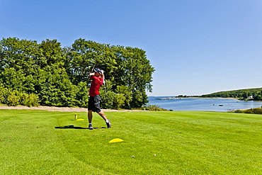 Foerde-Golf-Club Gluecksburg, Bockholmer Hochplateau, Gluecksburg, Flensburg Fjord, Schleswig Holstein, Germany