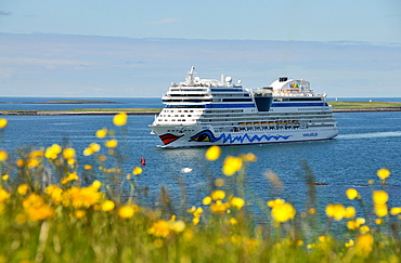 Cruise ship AIDA Mar Off shore, Reykjavik, Iceland, Europe