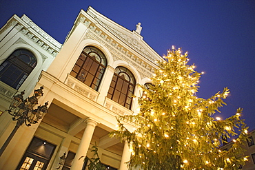 Illuminated Christmas tree in front of the state theater at Gaertnerplatz, Munich, Bavaria, Germany