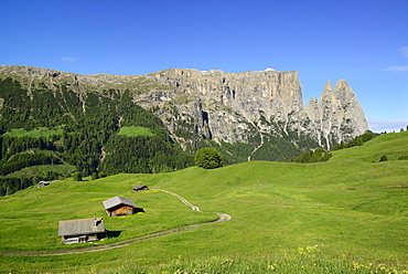 Alpine meadow and hay barn in front of Schlern and Rosszaehne, Seiseralm, Dolomites, UNESCO world heritage site Dolomites, South Tyrol, Italy