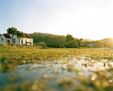 Old schoolhouse in front of a forest in the sunlight, settlement of Okarito, west coast, South Island, New Zealand