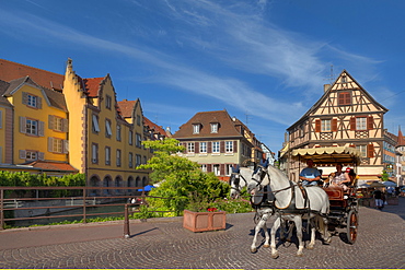 Horse drawn carriage in front of half timbered houses, Little Venice, Colmar, Alsace, France, Europe