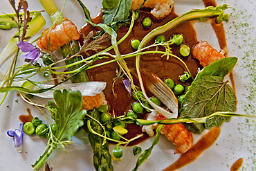 Salad with prawns, Belcastel, Midi-Pyrenees, France