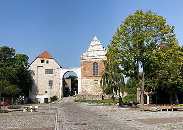 Castle domain, castle chapel and Museum in the sunlight, Wolmirstedt, Saxony-Anhalt, Germany, Europe