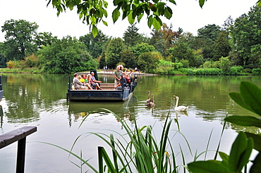 Ferry on the lake at the gardens of Woerlitz, Saxony-Anhalt, Germany, Europe