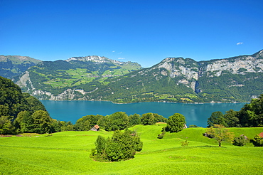 View of lake Walensee, Amden and Mattstock, St. Gallen, Switzerland, Europe