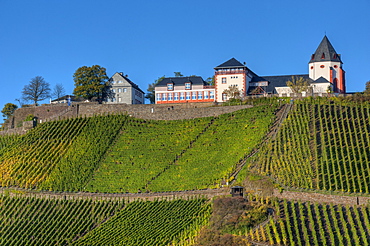 View at the Marienburg abbey, Punderich, Moselle, Rhineland-Palatine, Germany