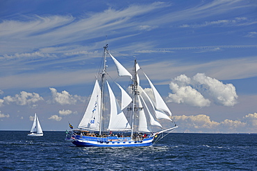 Sailing ships on Baltic Sea on their way to Hanse Sail, Rostock Warnemuende, Mecklenburg Western Pomerania, Germany, Europe