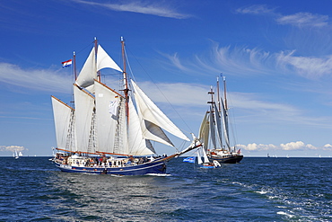 Sailing ships on Baltic Sea on their way to Hanse Sail, Rostock Warnemuende, Mecklenburg Western Pomerania, Germany, Europe