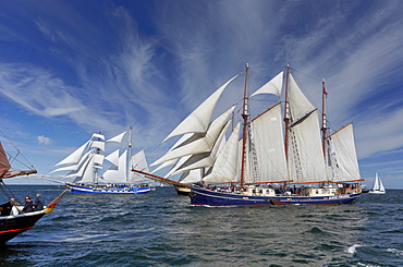 Sailing ships on Baltic Sea on their way to Hanse Sail, Rostock Warnemuende, Mecklenburg Western Pomerania, Germany, Europe