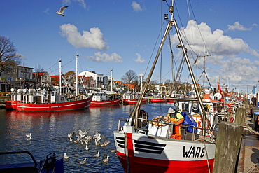 Fishing boats on the Alter Strom, Warnemuende, Rostock, Baltic coast, Mecklenburg Western Pomerania, Germany, Europe