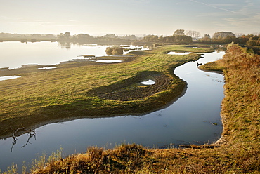 Nature reserve Plessenteich around Neu-Ulm, lake and blue sky, Schwaben, Bavaria, Germany