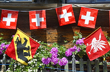 Farmhouse with Swiss flags, Gstaad, Saanenland, Bernese Oberland, Switzerland, Europe