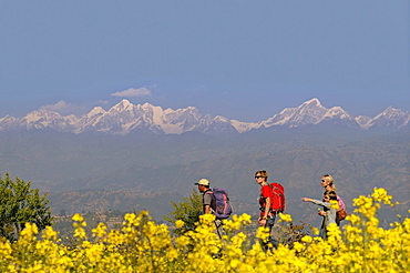 Namobuddha Trek, Dhulikhel, Kathmandu Valley, Langtang-Himalaya, Nepal