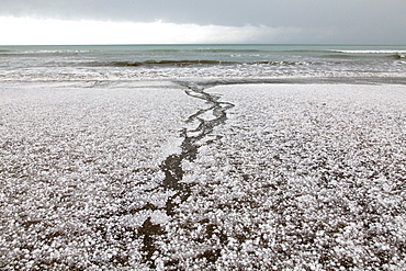 Hailstones on the beach after a storm, Marfells Beach, South Island, New Zealand