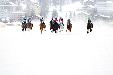 White Turf Horse Race 2013, St. Moritz, Engadine valley, Upper Engadin, Canton of Graubuenden, Switzerland