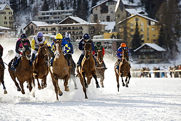 White Turf Horse Race 2013, St. Moritz, Engadine valley, Upper Engadin, Canton of Graubuenden, Switzerland