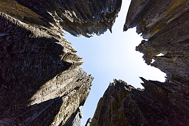 Tsingy-de-Bemaraha National Park, view up, Mahajanga, Madagascar, Africa