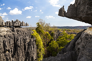 Tsingy-de-Bemaraha National Park, Mahajanga, Madagascar, Africa