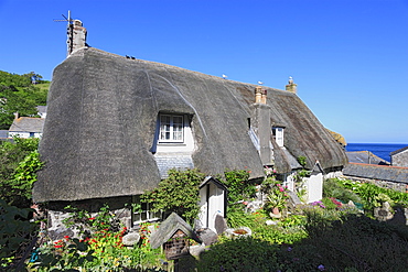 Cottage, Cadgwith, Lizard Peninsula, Cornwall, England, United Kingdom