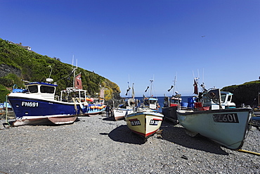 People visiting Cadgwith, Lizard Peninsula, Cornwall, England, United Kingdom