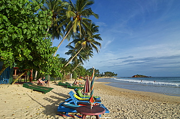 Palm trees and beach chirs on the beach of Mirissa, South coast, Sri Lanka, South Asia