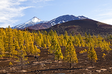 Caldera Landscape of Teide National Park, Tenerife, Spain