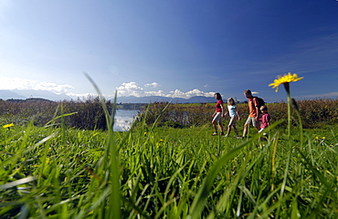 Family on a hiking tour at lake Riegsee, near Murnau, Upper Bavaria, Bavaria, Deutschland