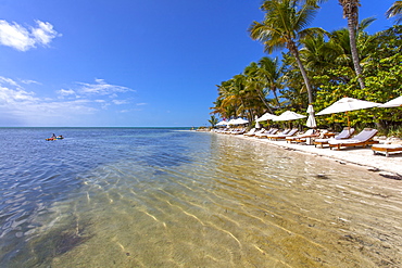 Beach with tourists, Little Palm Island Resort, Florida Keys, USA
